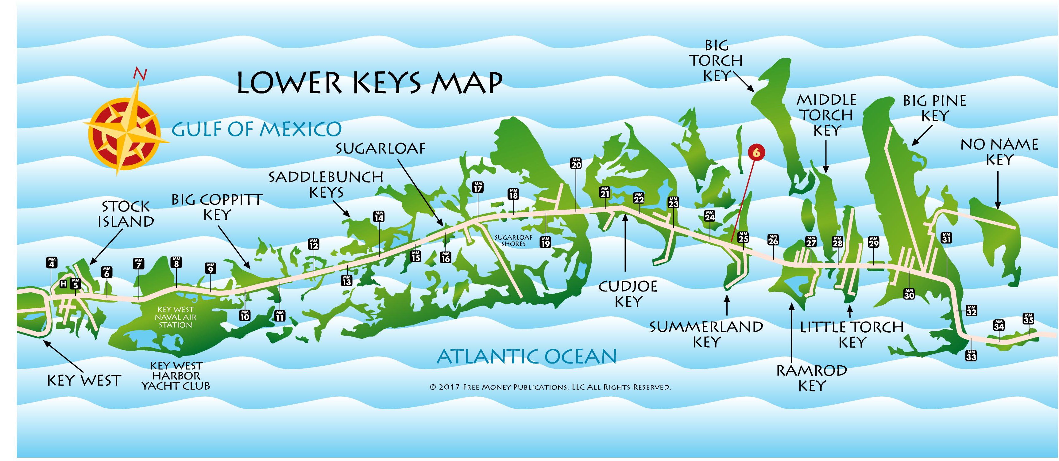 Barrier Coral Reef Florida Keys United States - Sail Fish 